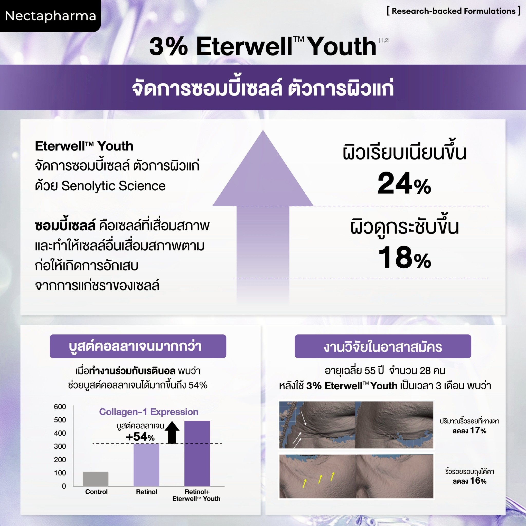 เรตินอลที่ไม่เหมือนใครด้วย `Eterwell™ Youth` เป็น Retinol Booster
`ที่จัดการซอมบี้เซลล์ ตัวการผิวแก่`