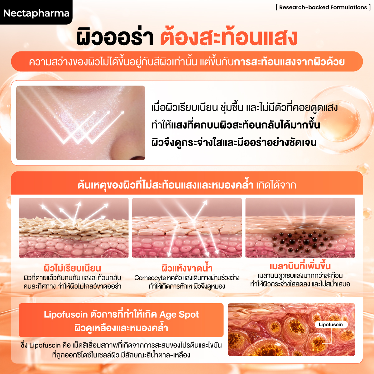 เซรั่มไวท์เทนนิ่ง Nectapharma Skin Radiance Whitening Serum