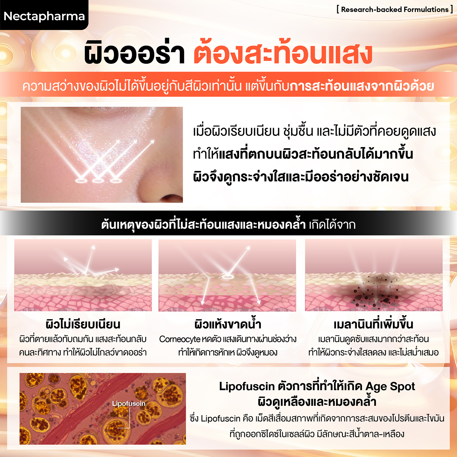 Bioactive Acne Clear Serum