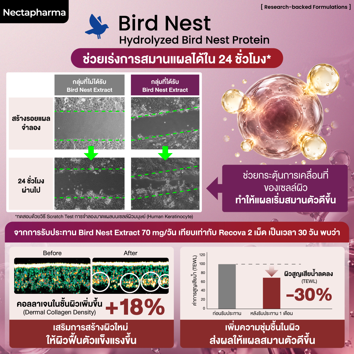 วิตามินสมานแผล ผ่าตัด ศัลยกรรม หัตถการ Nectapharma Recova